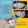 Tom