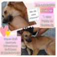 Princesa