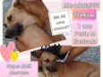Princesa