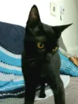 Benê