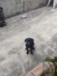 Tizil