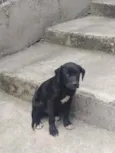 Tizil