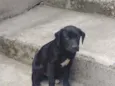 Tizil