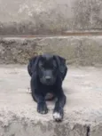 Tizil