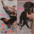 Beth.     E Ayla.