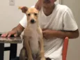 Cachorro raça Vira lata  idade 2 a 6 meses nome Zara 