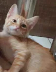 ............