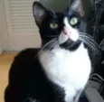 ** KYARA **