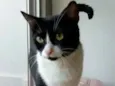 ** KYARA **