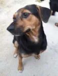 Laila e luna