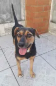 Laila e luna