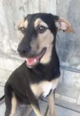Laila e luna