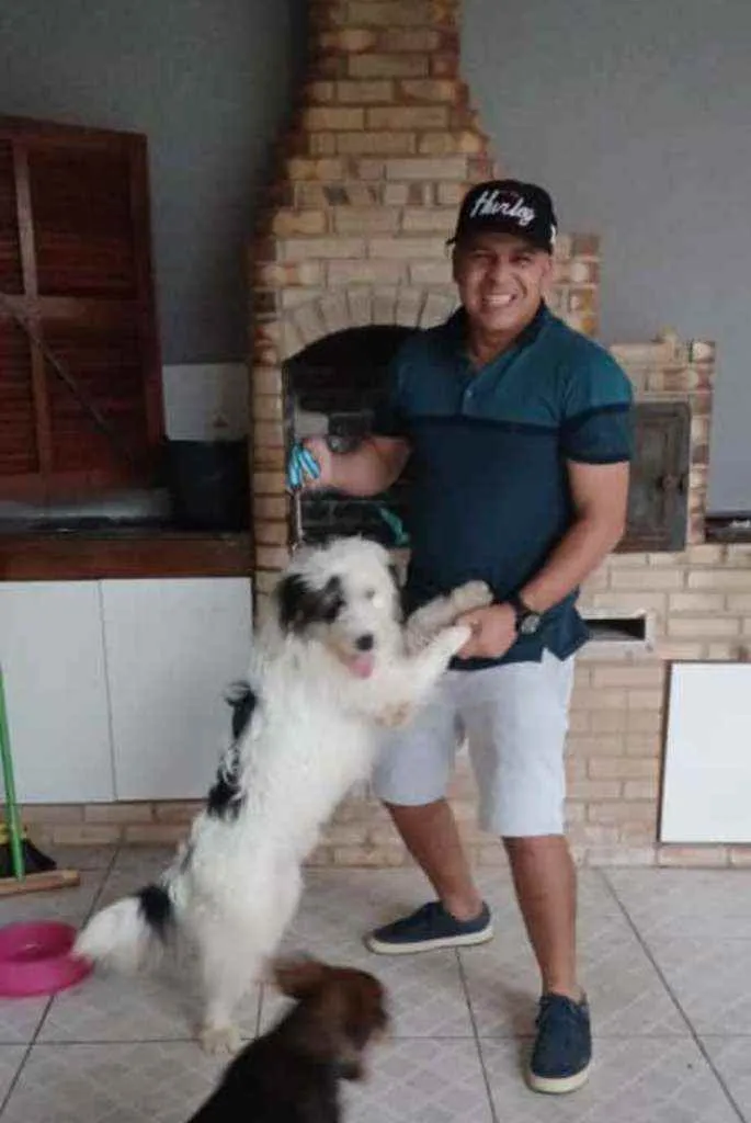 Cachorro ra a Não definida  idade 2 anos nome Jack Sparrow