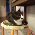 Tom