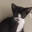 Duala