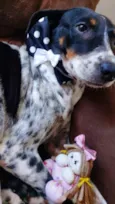 Malu