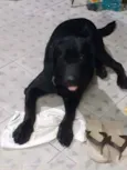 Marley