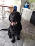 Marley
