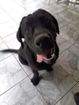 Marley
