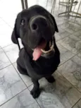 Marley