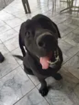 Marley