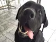 Marley