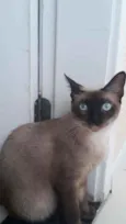 Nina