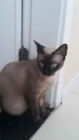 Nina