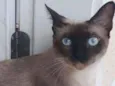 Nina