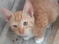Raul/Roy/pepeta e lu