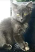 * MARIA *