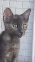 * MIA *