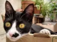 Tom