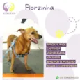 Florzinha