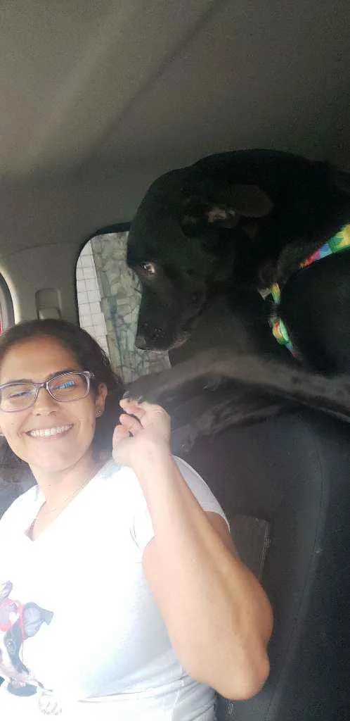 Cachorro raça Srd idade 1 ano nome Pantera