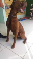 Bolt
