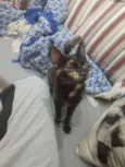Nina