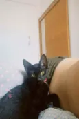 Zeca