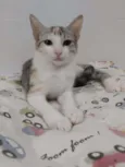 * PENÉLOPE *