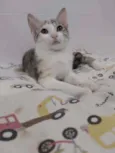 * PENÉLOPE *
