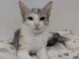 * PENÉLOPE *