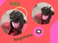 NEGUINHA