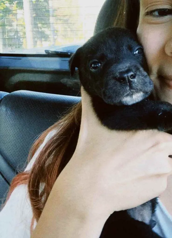 Cachorro ra a Sem raça definida idade Abaixo de 2 meses nome Pretinho