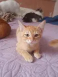 ............