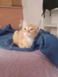 ............