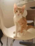 ,...................