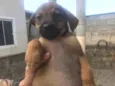 Não tem nome ainda