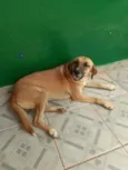 Sara