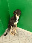Lumena