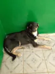 Lumena